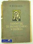 DZIEWCZĘ ZE SŁONECZNEGO WZGÓRZA w sklepie internetowym Wieszcz.pl