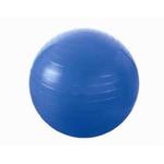 Piłka gimnastyczna 65 cm, niebieska w sklepie internetowym TwojPasaz.pl