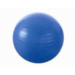 Piłka gimnastyczna 55 cm, niebieska w sklepie internetowym TwojPasaz.pl