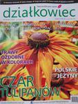 9/2021 DZIAŁKOWIEC CZAR TULIPANÓW POLSKIE JEŻYNY w sklepie internetowym ksiazkitanie.pl