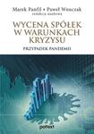 WYCENA SPÓŁEK W WARUNKACH KRYZYSU PANFIL NOWA w sklepie internetowym ksiazkitanie.pl