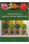 PIELĘGNACJA ROŚLIN DONICZKOWYCH w sklepie internetowym ksiazkitanie.pl