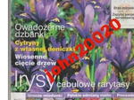 3/2004 .KWIETNIK.irysy w sklepie internetowym ksiazkitanie.pl