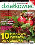 12/2018 DZIAŁKOWIEC DEKORUJEMY CHOINKĘ SUSZONE OWOCE PTAKI w sklepie internetowym ksiazkitanie.pl