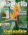 12/2017 MAGNOLIA ZIMOWY ŻAR TROPIKÓW w sklepie internetowym ksiazkitanie.pl