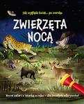 ZWIERZĘTA NOCĄ NOCNE SAFARI Z LATARKĄ W RĘKU LISA REGAN w sklepie internetowym ksiazkitanie.pl