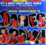 JAMES BROWN IT'S A MAN'S MAN'S WORLD LP WINYL w sklepie internetowym ksiazkitanie.pl