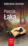 POLSKA POEZJA XX W POEZJE ŁĄKA BOLESŁAW LEŚMIAN w sklepie internetowym ksiazkitanie.pl