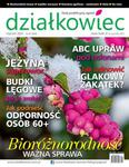 1/2021 DZIAŁKOWIEC JEŻYNA IGLAKI JEŻYNA w sklepie internetowym ksiazkitanie.pl