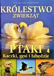 KRÓLESTWO ZWIERZĄT KACZKI GĘSI ŁABĘDZIE w sklepie internetowym ksiazkitanie.pl