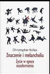ZNACZENIE I MELANCHOLIA ŻYCIE W EPOCE BOLLAS w sklepie internetowym ksiazkitanie.pl