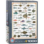 PUZZLE 1000 RYBA MORSKA NOWE FOLIA w sklepie internetowym ksiazkitanie.pl