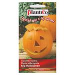 Dynia Olbrzymia - Typ Halloween Nasiona 2 g - PlantiCo w sklepie internetowym MarketBio.pl