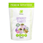 Ostropest Plamisty Mielony 1 kg - Intenson w sklepie internetowym MarketBio.pl