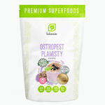 Ostropest Plamisty Ziarno 500 g - Intenson w sklepie internetowym MarketBio.pl