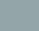 Agama J07 - Light Blue Grey N8 w sklepie internetowym JadarHobby