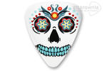 GROVER ALLMAN kostka gitarowa Sugar Skull Theme - White w sklepie internetowym Gitarownia.pl