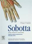 Atlas anatomii człowieka Sobotta Tom 1 Ogólne pojęcia anatomiczne. Narządy ruchu w sklepie internetowym ksiazki-naukowe.pl