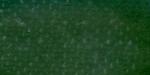 MARIENS 50 ML. SAP GREEN 568 w sklepie internetowym agart.sklep.pl