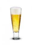 Holmegaard HUMLE Szklanka do Piwa - Pilsner w sklepie internetowym DesignForHome.pl