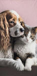 Ręcznik plażowy Pies i kot 70x140 100% Bawełna w sklepie internetowym eStilex