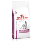 Royal Canin Mobility Support, karma dla psa na stawy, 12 kg w sklepie internetowym etamicus.pl/