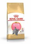 Royal Canin FBN British Shorthair Kitten, sucha karma dla kotów rasy brytyjski krótkowłosy, 2 kg w sklepie internetowym etamicus.pl/