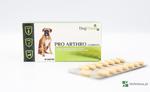 Dogshield Pro Arthro Complex, preparat na schorzenia stawów dla psów, 90 tabletek w sklepie internetowym etamicus.pl/