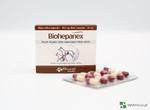 Biowet Biohepanex, suplement na wątrobę dla psów i kotów, 40 kapsułek w sklepie internetowym etamicus.pl/