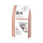 Brit GF Veterinary Diet Cat Renal, sucha karma na nerki dla kota, 2 kg w sklepie internetowym etamicus.pl/