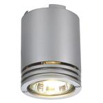 Lampa sufitowa BARRO CL-1 ALU 116202 SLV w sklepie internetowym swiatlo-cienie.pl