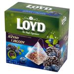 Herbata eksp. LOYD piramid. 20t. Jeżyna i jagoda w sklepie internetowym Biurowe-zakupy.pl