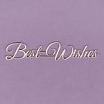 817 Tekturka napis - Best Wishes - G2 w sklepie internetowym CraftyMoly