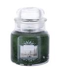 Yankee Candle Evergreen Mist Świeczka zapachowa 104g (U) (P2) w sklepie internetowym Estetic Dent