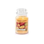 Yankee Candle Świeca zapachowa duży słój Mango Peach Salsa 623g (P1) w sklepie internetowym Estetic Dent