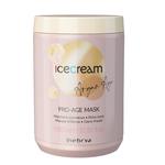 INEBRYA Ice Cream Argan Pro Age maska nabłyszczająca z olejkiem arganowym 1000ml (P1) w sklepie internetowym Estetic Dent