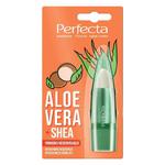 PERFECTA Aloe Vera regenerująca pomadka do ust z aloesem i masłem shea 5g (P1) w sklepie internetowym Estetic Dent