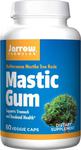 Pistacja Mastic Gum 500 mg (60 kaps.) w sklepie internetowym Estetic Dent