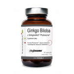 Ginkgo Biloba z Ginkgoselect Phytosome (60 kaps.) w sklepie internetowym Estetic Dent