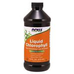 Chlorophyll - Chlorofil w płynie (473 ml) w sklepie internetowym Estetic Dent