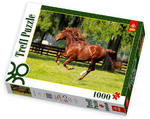 1000 EL. GALOP w sklepie internetowym TerazGry.pl