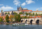 1000 EL. Praga, Czeska Republika Castor w sklepie internetowym TerazGry.pl