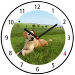 Zegar kolorowy pies golden retriever w sklepie internetowym Atrix.pl