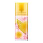 Elizabeth Arden Green Tea Mimosa woda toaletowa dla kobiet 50 ml + prezent do kaÃÂ¼dego zamÃÂ³wienia w sklepie internetowym Brawat.pl