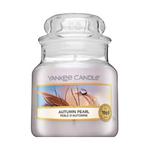 Yankee Candle Autumn Pearl 104 g + prezent do kaÃÂ¼dego zamÃÂ³wienia w sklepie internetowym Brawat.pl