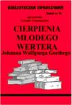 B.74 - CIERPIENIA MŁODEGO WERTERA w sklepie internetowym NaszaSzkolna.pl