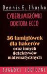 Cyberłamigłówki doktora Ecco. 36 łamigłówek dla hackerów oraz innych detektywów matematycznych w sklepie internetowym NaszaSzkolna.pl