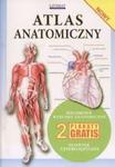 Atlas anatomiczny w sklepie internetowym NaszaSzkolna.pl