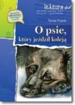 O psie, który jeździł koleją. Lektura z opracowaniem w sklepie internetowym NaszaSzkolna.pl