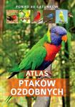 Atlas ptaków ozdobnych. Ponad 80 gatunków w sklepie internetowym NaszaSzkolna.pl